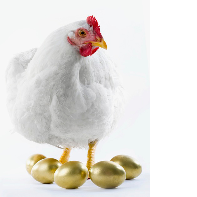 Hen with golden eggs (Photo: iStockphoto)