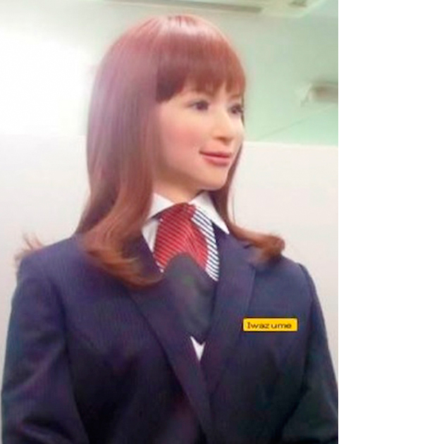 Robot run hotel: Robot staff