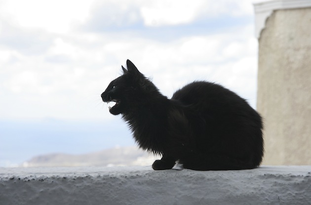 iStockphoto