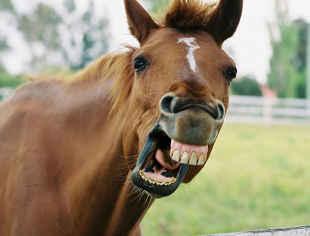 iStockphoto