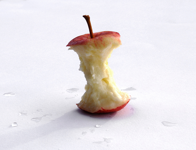 things we believed as kids: ate an apple core tree would grow inside you