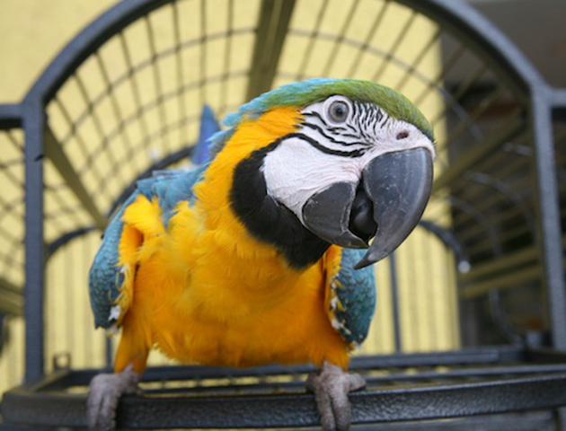 iStockphoto