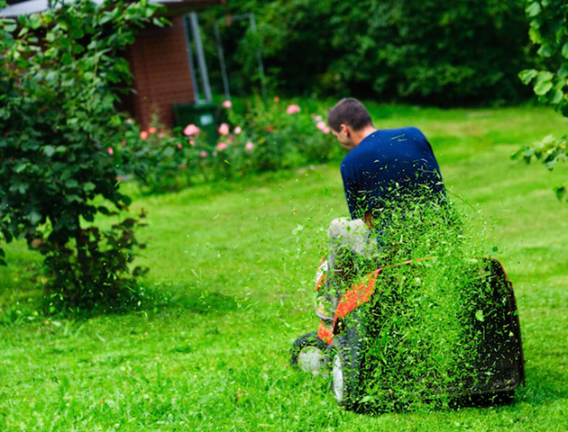 iStockphoto