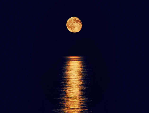 iStockphoto