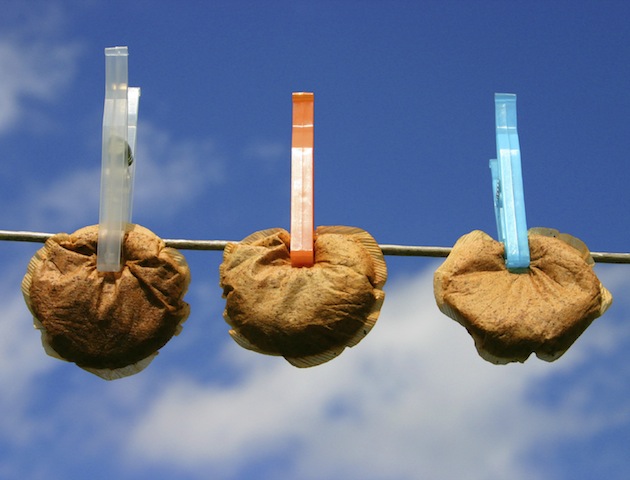 iStockphoto