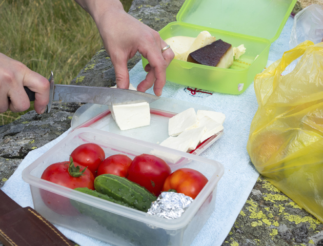 picnic
