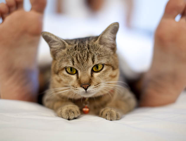 iStockphoto