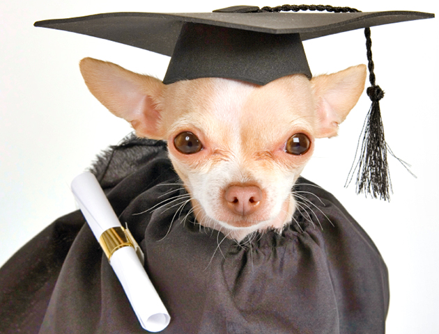 iStockphoto