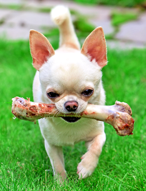 iStockphoto