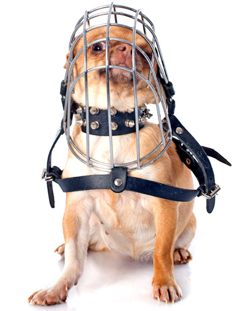 iStockphoto