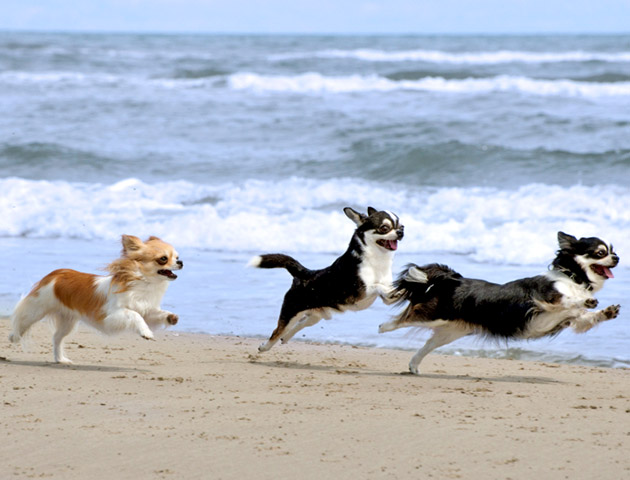 iStockphoto