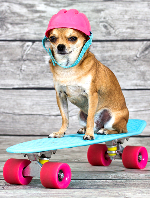 iStockphoto