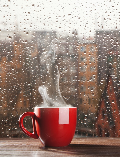 duvet day