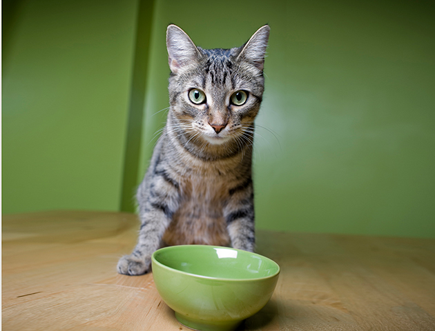 iStockphoto