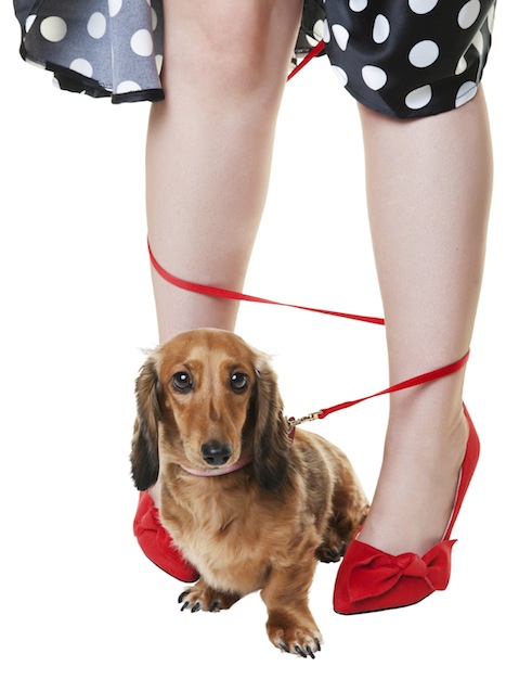 iStockphoto