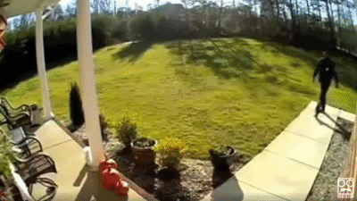Disastrous Parcel Delivery Stories That Might Happen To You