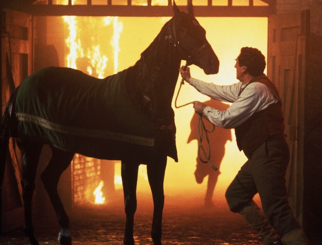 Black Beauty film pic