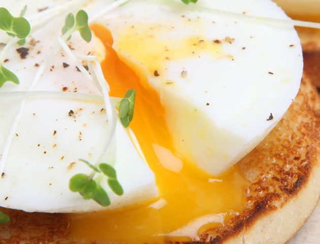 eggs