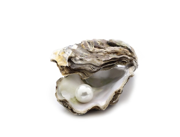 Naughty bits: oyster and pearl