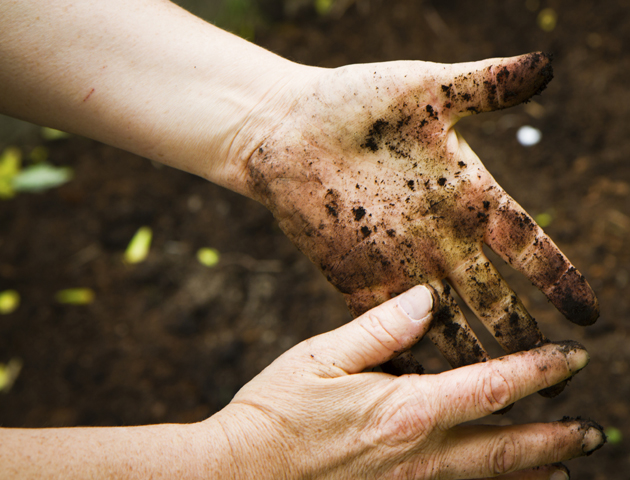 image of woman's dirty hands from gardening