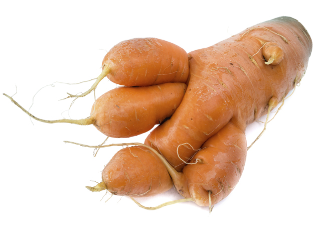 image of wonky shaped carrot