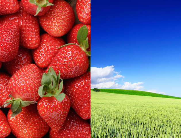 iStockphoto