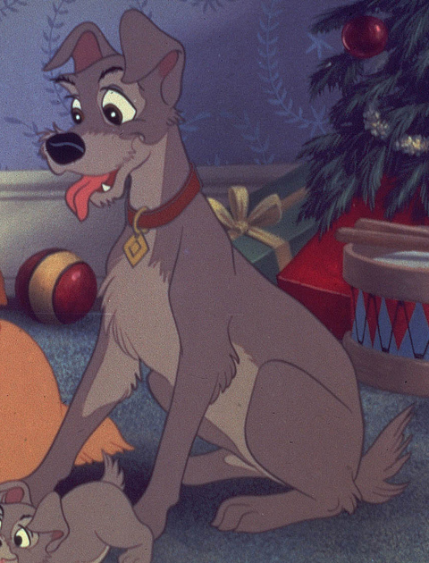 image of tramp from The Lady & The Tramp film