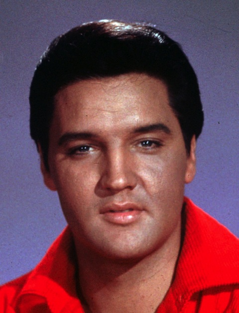celebrity twins: Elvis Presley