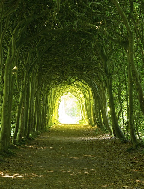 iStockphoto