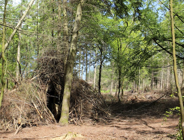 70s kids: den in the woods