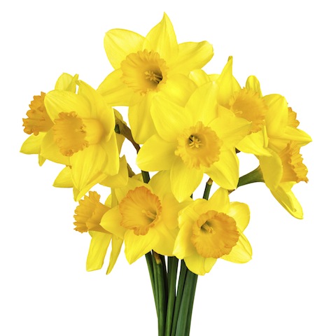 iStockphoto