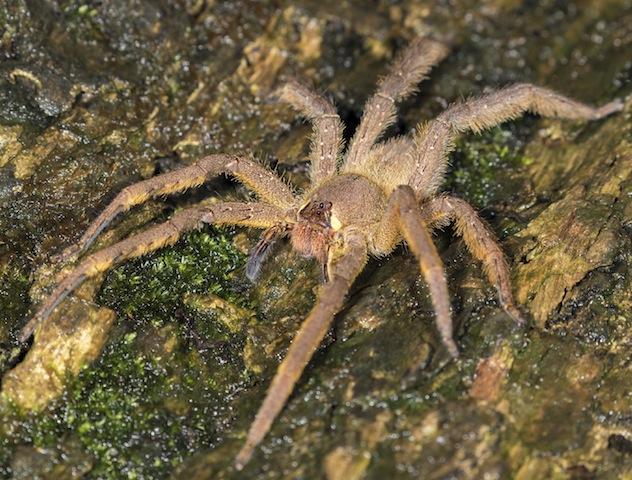 iStockphoto