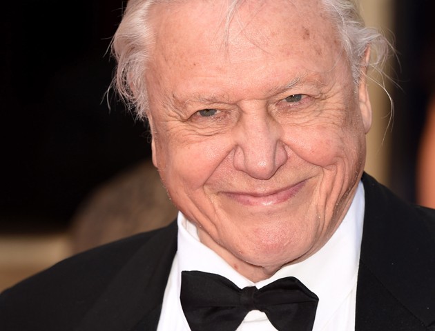 image of sir david attenborough