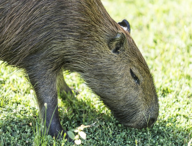 iStockphoto