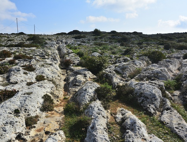 iStockphoto