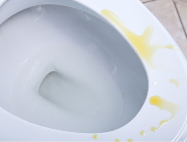 toilet covered in wee