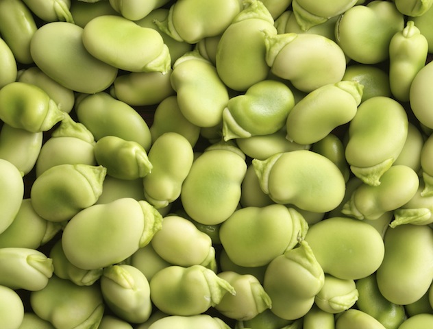 iStock_000007463481_Medium