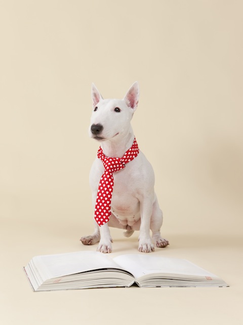 iStockphoto