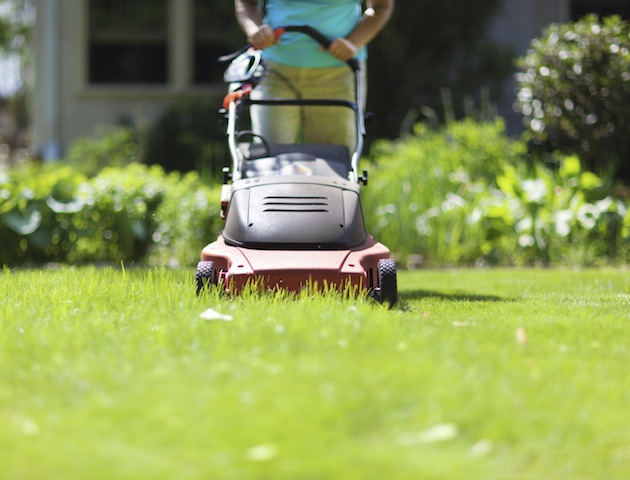 Sun: lawnmower