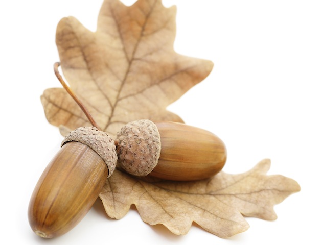 iStockphoto