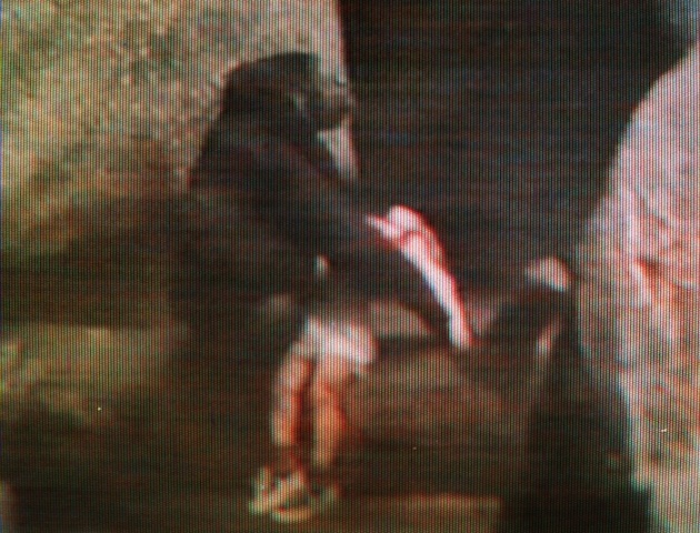 Binti Jua, an 8-year-old female gorilla, is shown in an image from