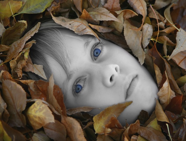 iStockphoto