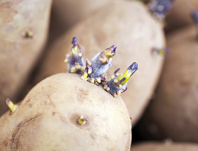 iStockphoto