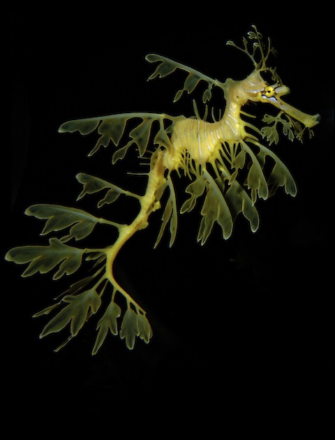 iStockphoto