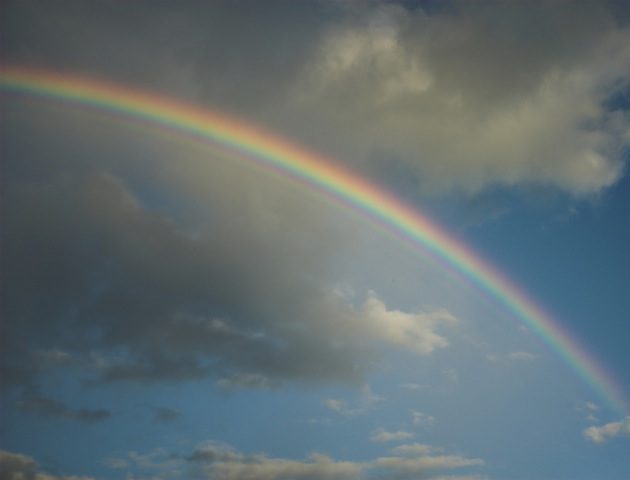 iStockphoto