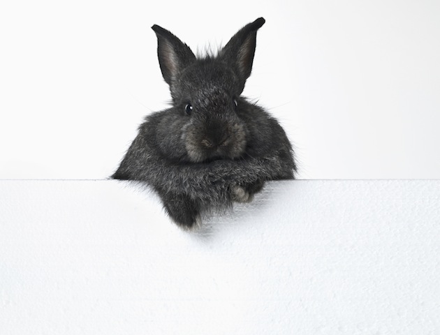 iStockphoto