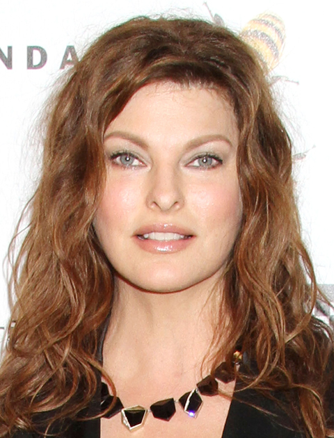 image of linda evangelista