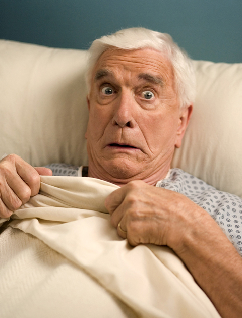 image pf canadian leslie nielsen