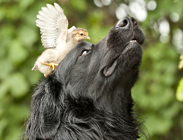 Rex/Shutterstock