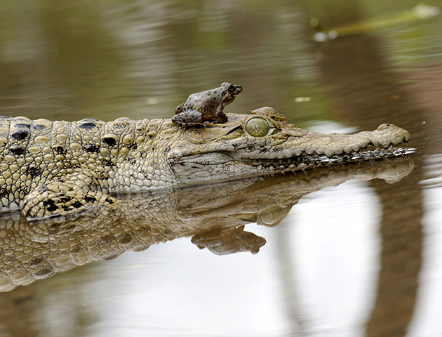 Rex/Shutterstock